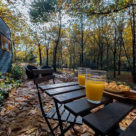 Cantinho D'azenha Lantställe Ponte de Lima