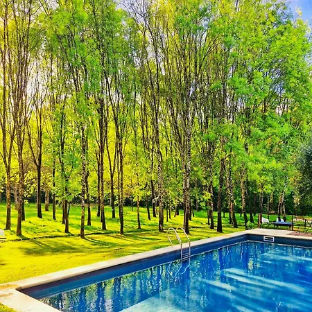 Lantställe Cantinho D'azenha *