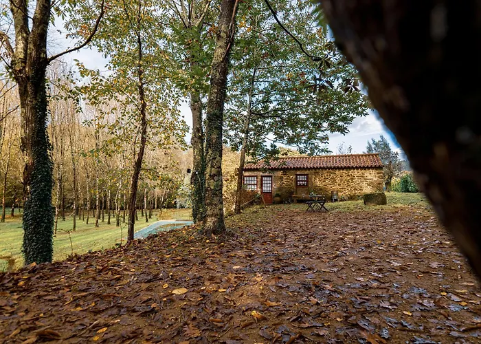 Landhaus Cantinho D'azenha *